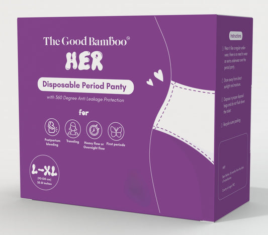 Disposable Period Panty - Large/X-Large - 8 Period Panties