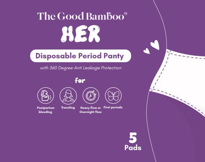 Disposable Period Panty - Small/Medium - 5 Period Panties