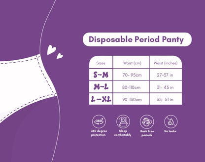 Disposable Period Panty - Small/Medium - 5 Period Panties